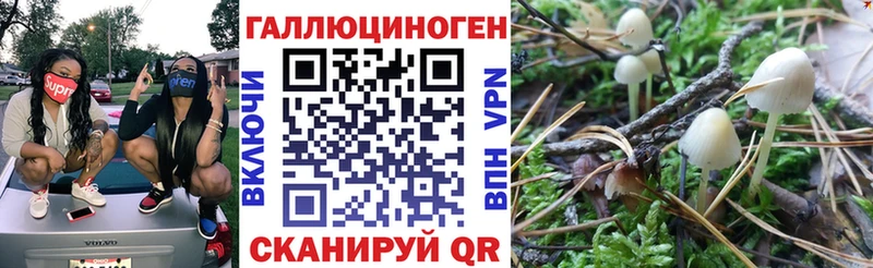 omg зеркало хочу Шенкурск Псилоцибиновые грибы мицелий